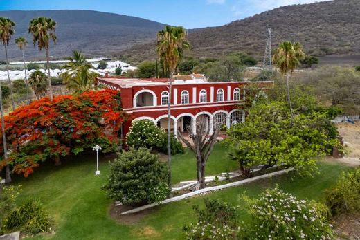 Ex Hacienda San Martin de Guadalupe in San Martin