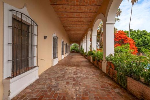 Ex Hacienda San Martin de Guadalupe, photograph 15