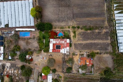 Ex Hacienda San Martin de Guadalupe, photograph 18