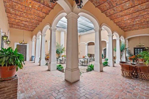 Ex Hacienda San Martin de Guadalupe, photograph 5