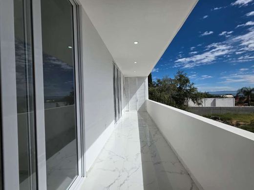 Contempo, photograph 16