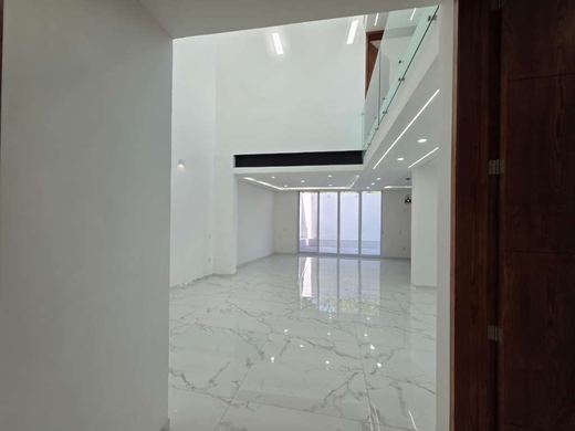 Contempo, photograph 9