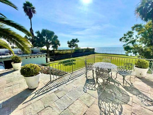 Ajijic Lakefront, photograph 14