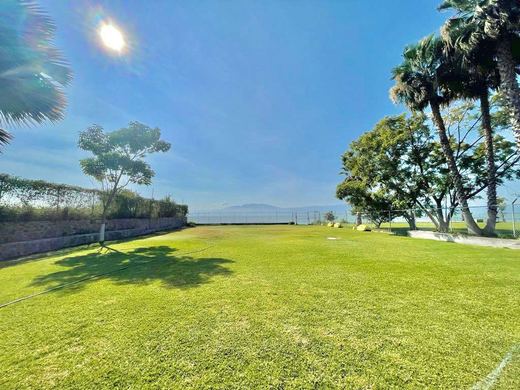 Ajijic Lakefront, photograph 17