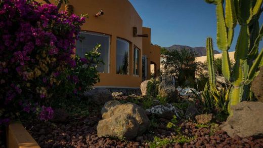 Casa Maher, photograph 14