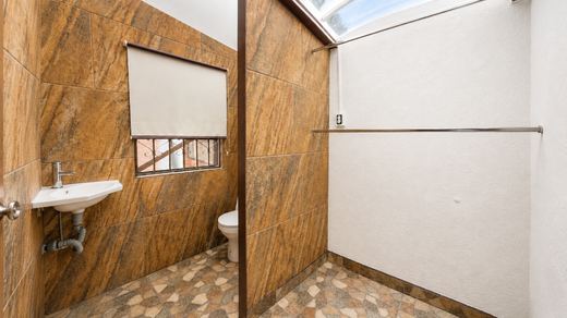 SAN Luis Cipreses, photograph 15