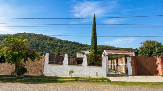 SAN Luis Cipreses, photograph 18