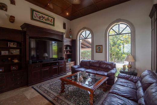 Riviera Oasis, photograph 9