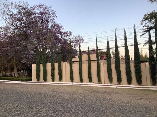 Floresta ALL-IN-ONE-Estate, photograph 13