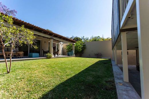 Floresta ALL-IN-ONE-Estate, photograph 17