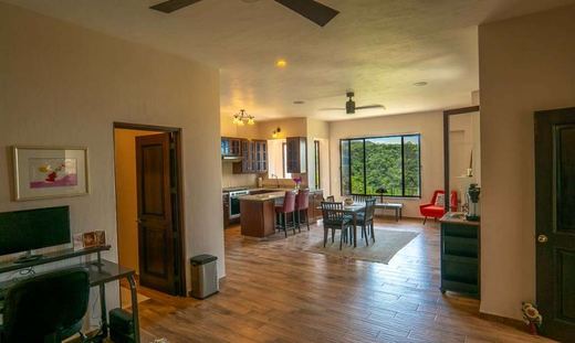 Lakeview Splendor, photograph 16